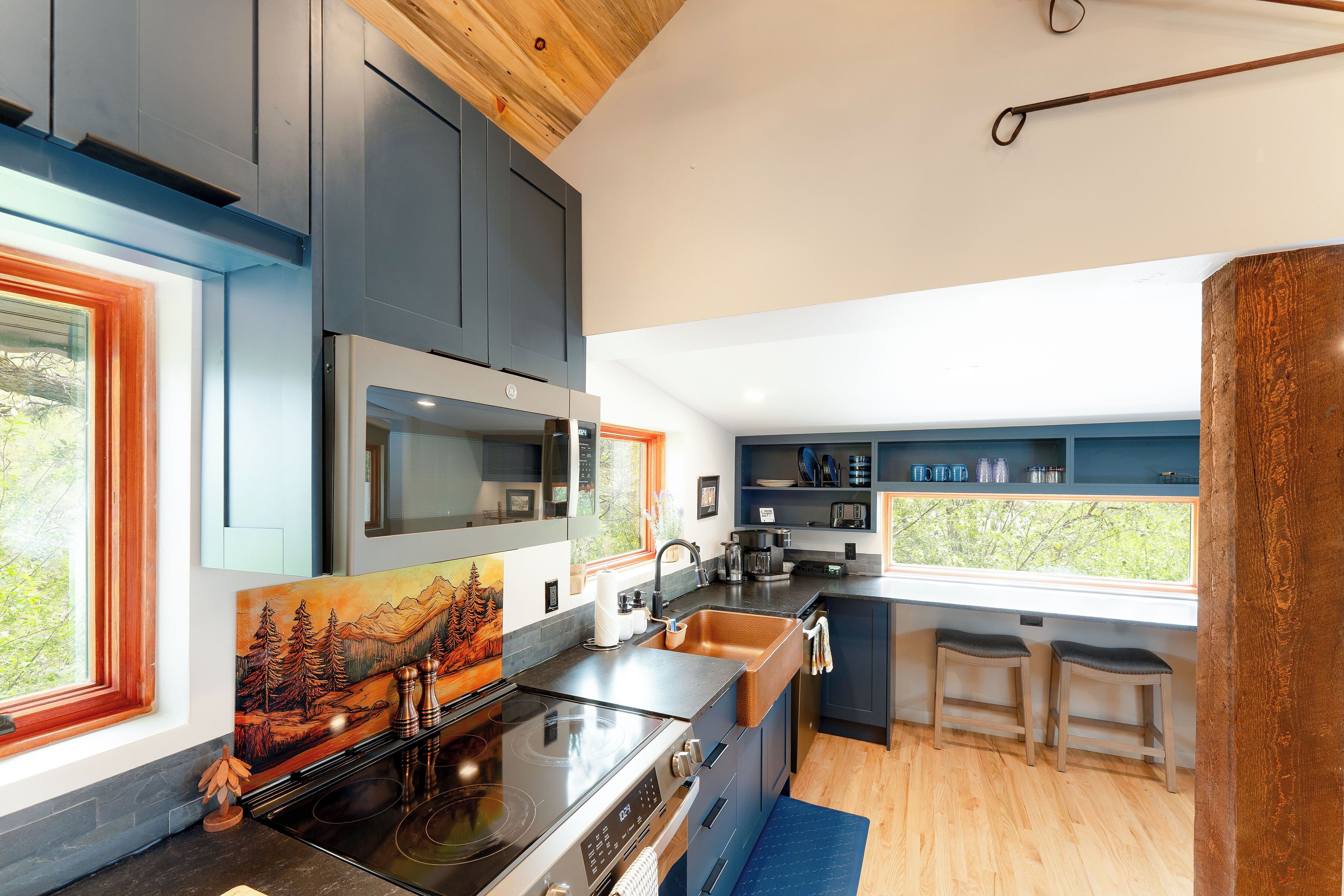 Microwave, oven, stovetop, dishwasher