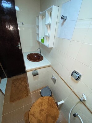Shower, towels, toilet paper