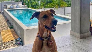 Enceinte de lâhĂ©bergement