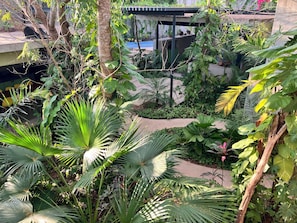 Garden - BÁSICO PIXOY HOTEL (Valladolid)