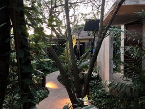 Garden - BÁSICO PIXOY HOTEL (Valladolid)
