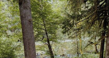 Hunts Hut: spa, riverfront view, generator, 15mi to ski hill!