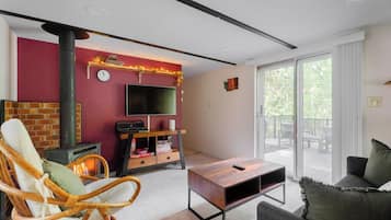 Smart TV, fireplace, books