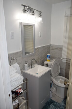 Haartrockner, Bidet, Handtücher, Seife