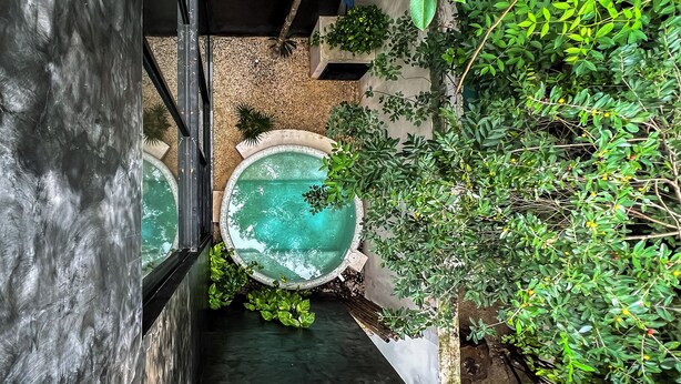 A rooftop garden with a small pool, surrounded by greenery and plants.