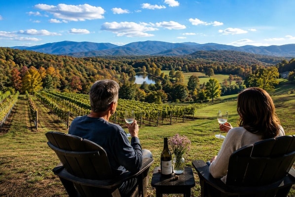 Dos personas sentadas a una mesa con una botella de vino y una copa, con vistas a un viñedo y un lago con montañas al fondo.