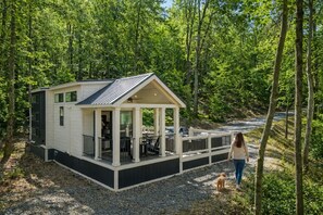 A cabin with a porch, a deck, and a small dog.