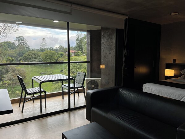 Room, 1 Bedroom, Accessible, Smoking | Living room