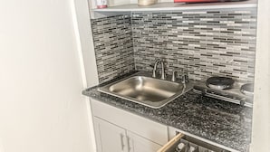 A compact kitchen with a double sink, a microwave, and a small potted plant on the shelf. - Cozy and Charming Studio in Fort Lauderdale (Fort Lauderdale)
