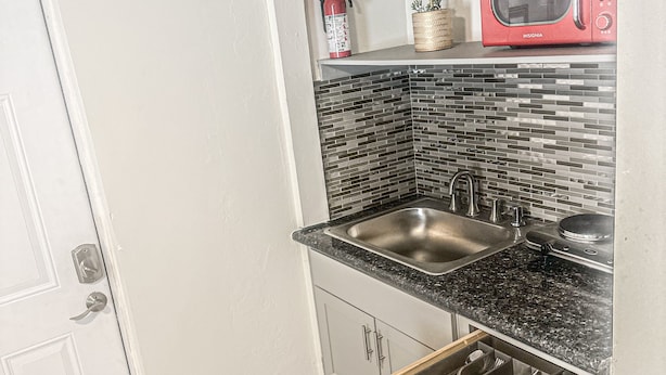 A compact kitchen with a stainless steel sink, a microwave, and a small potted plant on the countertop. - Cozy and Charming Studio in Fort Lauderdale (Fort Lauderdale)