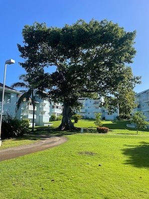 Boendeområde