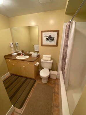 Sèche-cheveux, serviettes fournies, savon, papier toilette