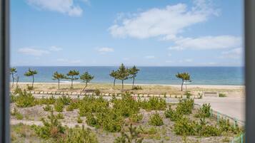 Basic Room, 1 Bedroom (203 (Ocean View / DOGS ONLY)) | 1 bedroom, free WiFi