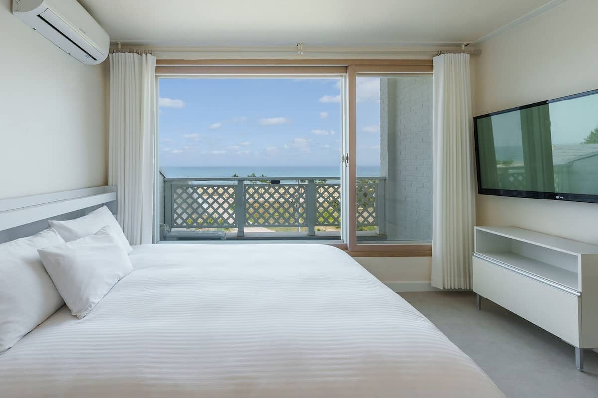 Basic Room, 1 Bedroom (302 (Ocean View / DOGS ONLY)) | 1 bedroom, free WiFi
