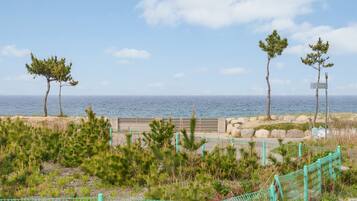 Kamar Basic, 1 kamar tidur (101 (Ocean View / DOGS ONLY)) | 1 kamar tidur dan Wi-Fi gratis