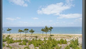 A coastal view with a row of young pine trees and a sandy beach. - Yangyang Sunrise Sea Pension (Yangyang)