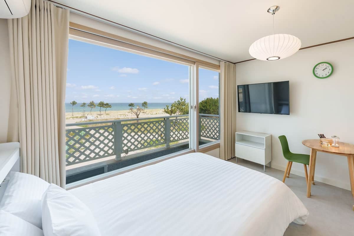 Basic Room, 1 Bedroom (203 (Ocean View / DOGS ONLY)) | 1 bedroom, free WiFi