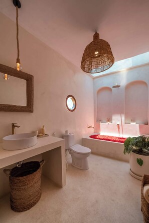 Regadera y secadora de cabello 