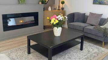 TV, fireplace