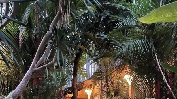 A stone staircase surrounded by dense tropical foliage leading to a wooden structure with warm lighting. - Umakayu Joglo Villa Bali Boutique Hotel (Canggu)