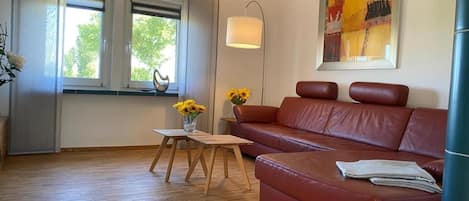 Fernseher, DVD-Player