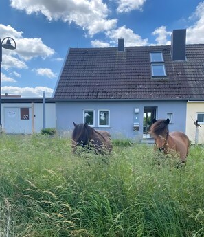 Une maison avec le numéro « 37 » sur la porte, une petite fenêtre et un interphone.