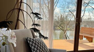 Smart TV, chimenea y libros