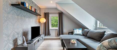 电视、DVD 播放器