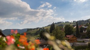 A rural landscape with a house, a stone wall, and a road. - Hotel-Pension Enzian – Double Room with Balcony or Terrace, Breakfast Included (Todtnau)