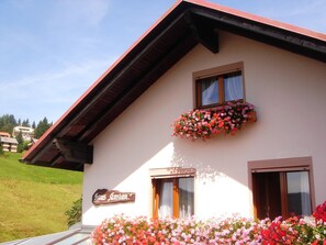 Exterior detail - Hotel-Pension Enzian – Double Room with Balcony or Terrace, Breakfast Included (Todtnau)