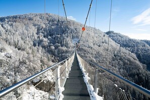 Sne- og skisport