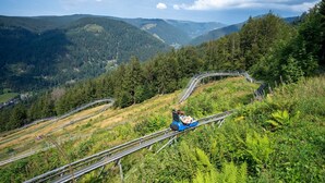 A scenic mountain railway with a blue train car.