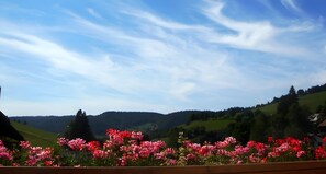 Udsigt over en dal med bakker, en klar himmel og lyserøde blomster i forgrunden.