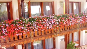 A balcony with hanging flower baskets, wooden railings, and a view of the interior. - Hotel-Pension Enzian: Double Room with Balcony or Terrace, Breakfast Included (Todtnau)