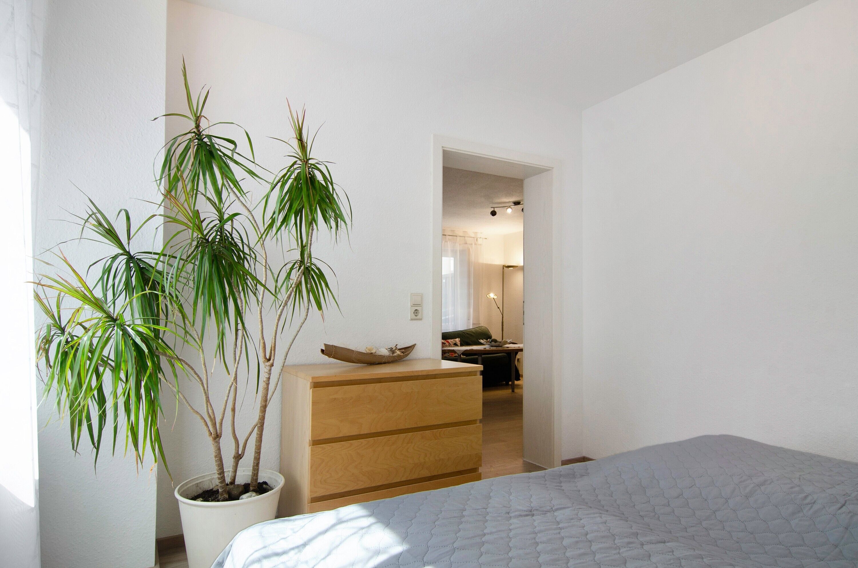 1 chambre, fer et planche à repasser, Wi-Fi gratuit, draps fournis