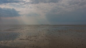 Nära stranden