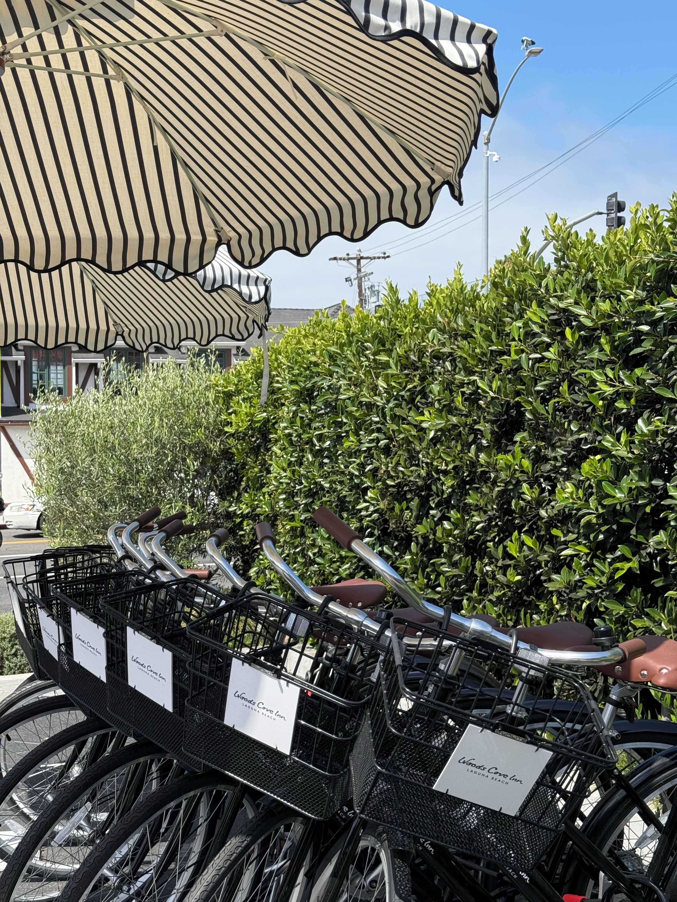 A row of bicycles with baskets, parked under striped awnings, with a hedge and buildings in the background.