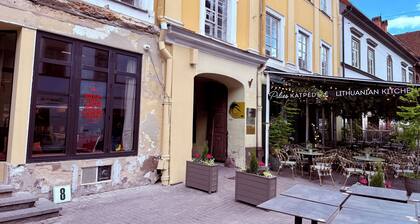 Pilies8 Luxury Vilnius Apartment