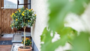 A potted plant with yellow flowers against a white wall, a metal bench, and a wooden fence in the background. - Holiday Apartment 'Komfort Römersberger - 6' with Private Terrace, Private Garden and Wi-Fi (Vogtareuth)