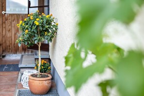 Exterior detail - Holiday Apartment 'Komfort Römersberger - 6' with Private Terrace, Private Garden and Wi-Fi (Vogtareuth)