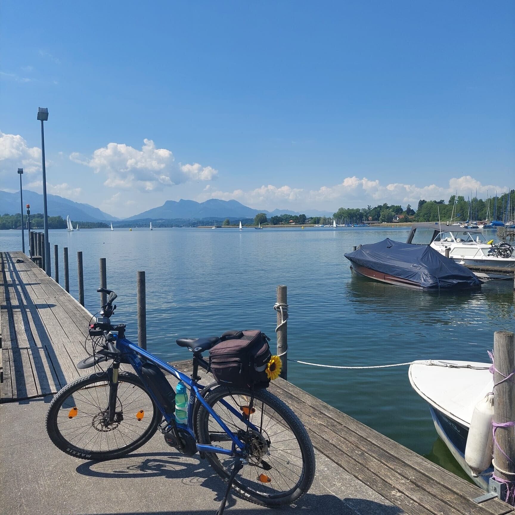 Marina/club náutico