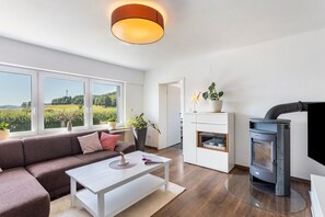Fernseher, Kamin