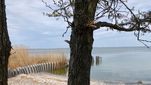 Una playa con un árbol en primer plano, una barrera de hormigón y una masa de agua tranquila.