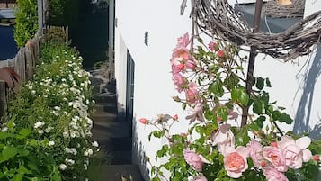 外部細節