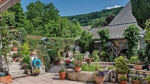Un jardín con plantas en macetas, un banco de madera y una escalera que lleva a una casa con techo de tejas.