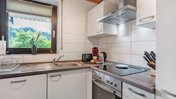 Fridge, oven, stovetop, dishwasher