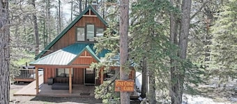 Pine Cone Cabin – A Cozy Black Hills Escape