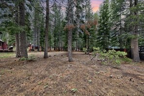 Property grounds - Tahoe Forest Lodge: Hot Tub, Pool Table, A/C (South Lake Tahoe)