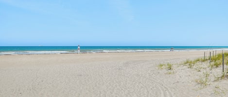 On the beach