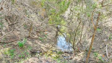 Un paysage naturel caractérisé par un cours d’eau, une végétation luxuriante et un terrain rocheux.